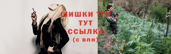 стафф Каменногорск