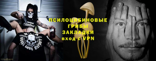 МДПВ Каменка