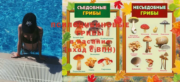 МДПВ Каменка