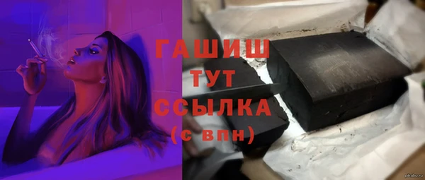 МДПВ Каменка