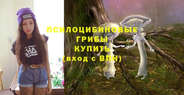 дурь Каменск-Шахтинский